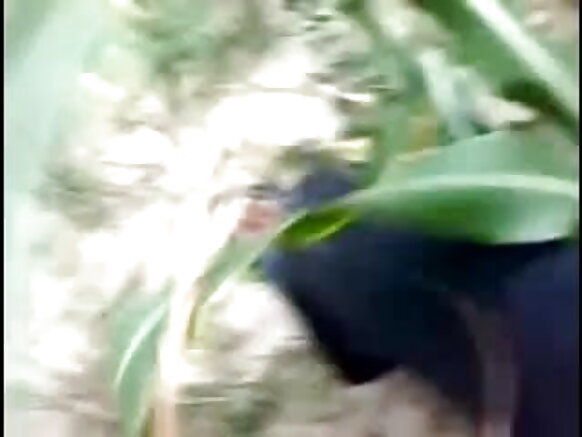 भारत दक्खिन लोग सेक्सी मूवी आंटी सेक्स सेक्स ग्रिल्ला