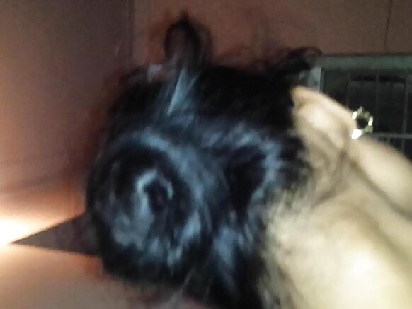 भारतीय सेक्स सेक्स फोटो