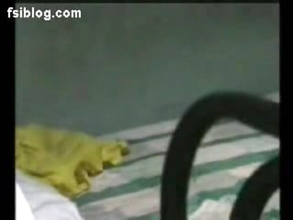 भारत नई सेक्सी हिंदी शो इंडियन हार्डकोर