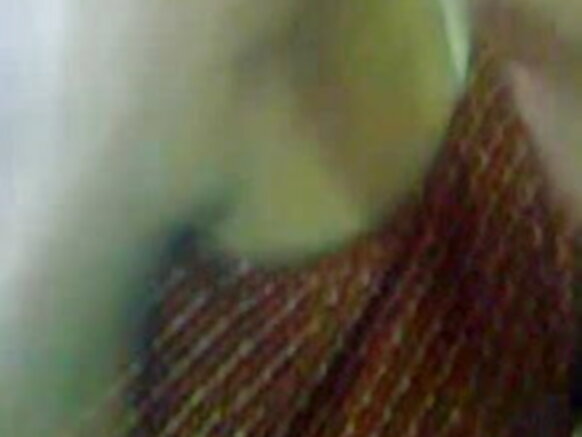 दुलहिन बाल हटाने से पहले हिन्दी चूत सेक्सी मूवी सेक्सी सेक्सी चुदाई ऑडियो हिंदी