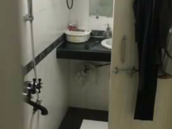 देसी पिल्लदा सिन्त