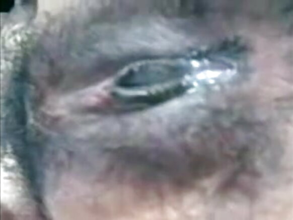 बांग्लादेश ऐश्वर्या राय कि सेक्सी फिल्म भाभी सेल्फी मोबाइल अपने पति के लिए P2