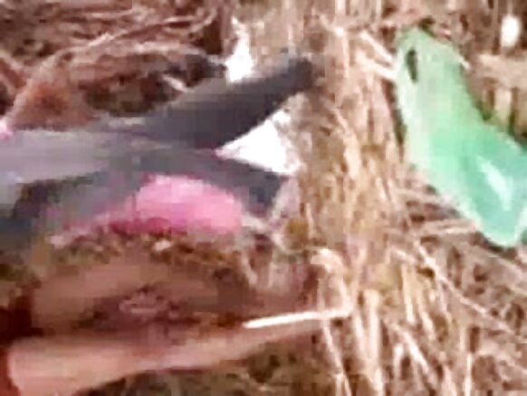 उत्तर भारत से हॉट लड़की अपने सेक्सी नीली हिंदी बॉयफ्रेंड के साथ मेरे बॉयफ्रेंड के खेत का मजा लिया