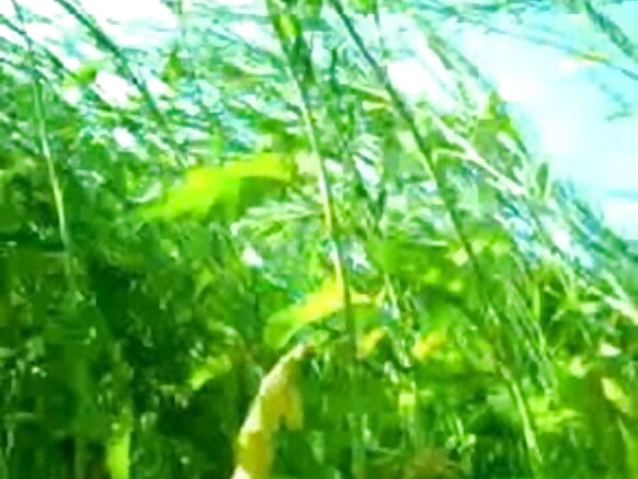 जंगल में जोड़ा सेक्सी मूवी हिंदी