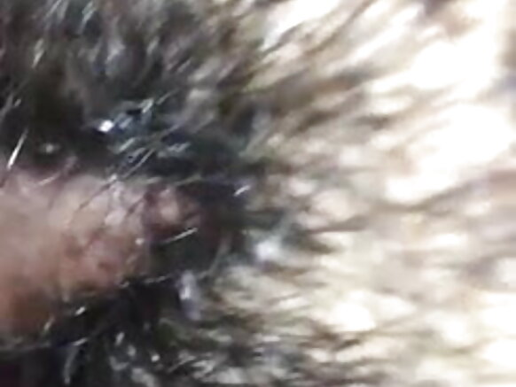 देसी हॉट बीवी सेक्सी मूवी बीएफ हिंदी बालों वाली बीवी सेक्सी चूत चुदाई