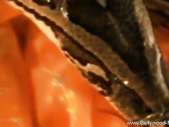 भरत साँप भोजपुरी मूवी सेक्स वीडियो हॉटी और अतुलनीय डांसर