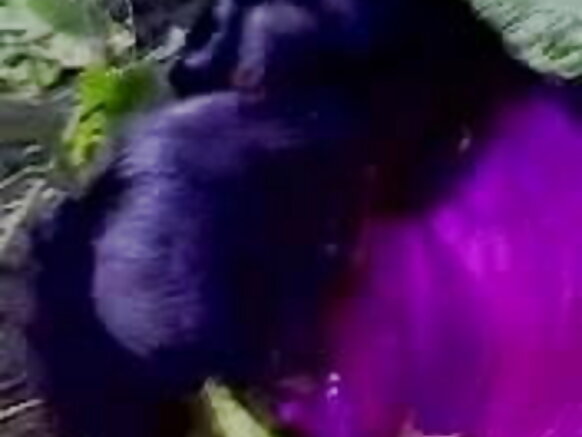 शौकिया भारतीय लडकिया चुंबन सेक्सी शौकिया मूवी.