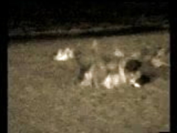 छुपा कैमरा सेक्सी मूवी सार्वजनिक समुद्र तट सेक्सी सेक्सी वीडियो मेरा कैमरा