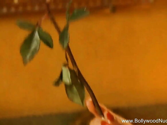 अंग्रेजी नीली वीडियो में भारतीय प्रेमी अकेला हो गया