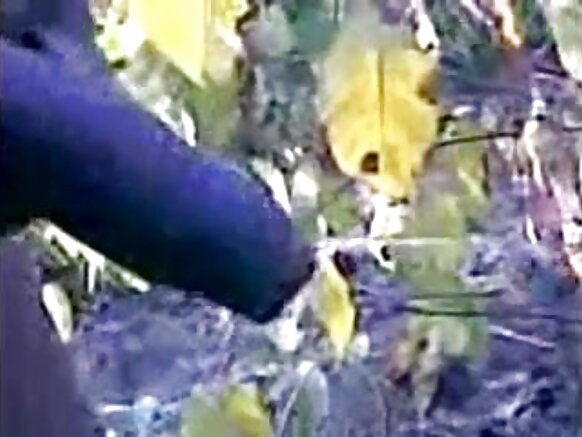 तेलुगु रांदी हिंदी फुल सेक्सी मूवी सेलवा तेलुगु सेक्स सेक्स