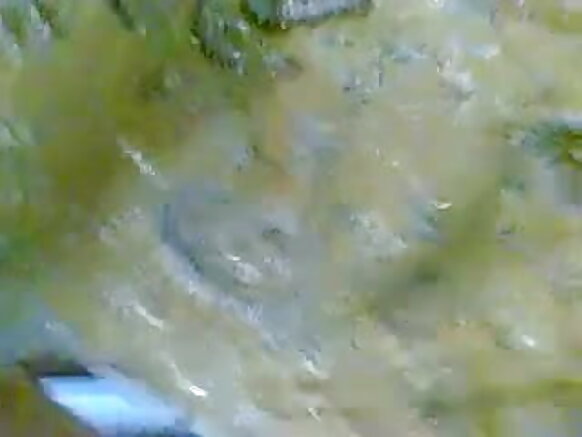 भारतीय लड़की नई सेक्सी लड़की के कपड़े अद्भुत एचडी में