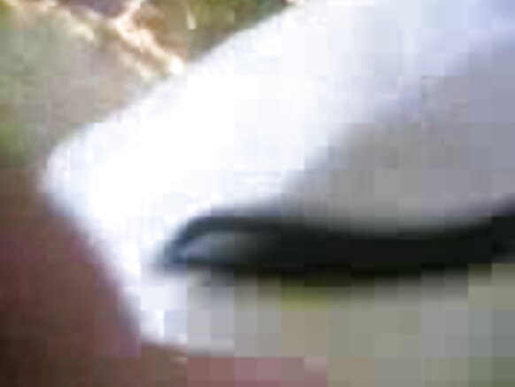 सेक्सी मोबाइल सेक्स ब्लू फिल्म पंजाबी आउटडोर